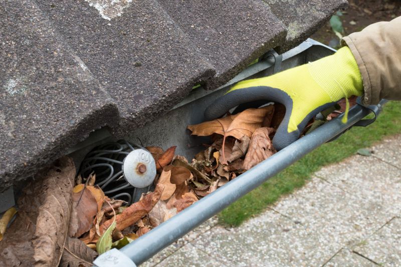 Preventative Gutter Care
